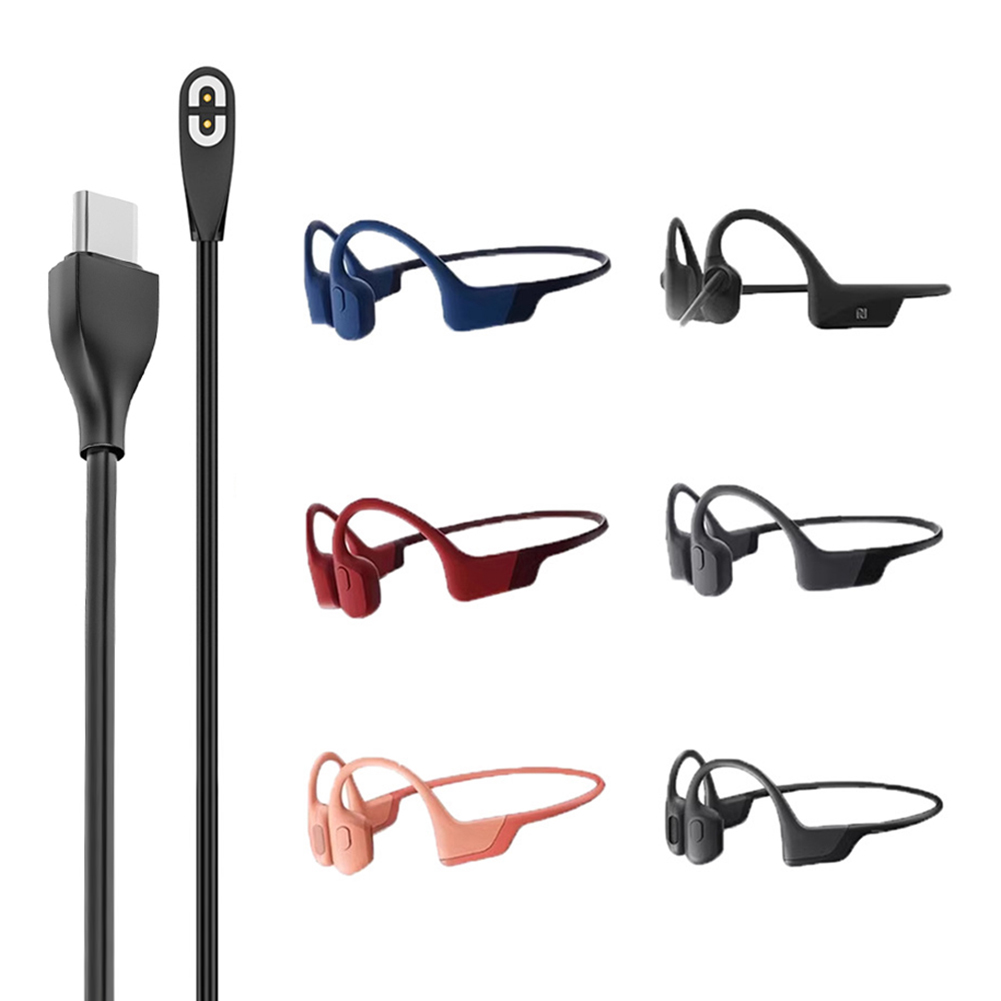 Magnetic Charger USB/Type-C Ch - Skyrc B6 Neo Smart Charger recension och pris